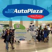 POP – Adopta un Auto